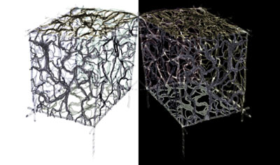 rhizomeIntermezzoPreview