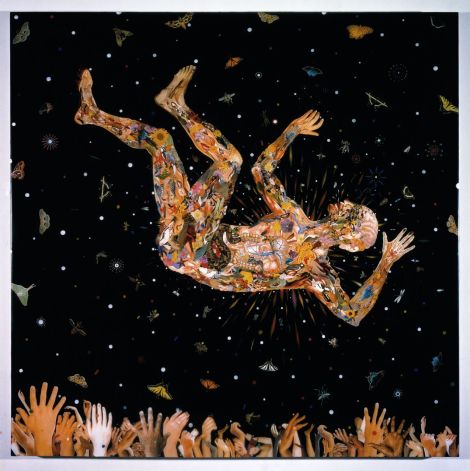 expecting to fly by fred tomaselli 