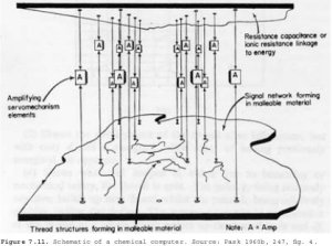 tumblr_mjyqsgqnwS1rk5igso1_500