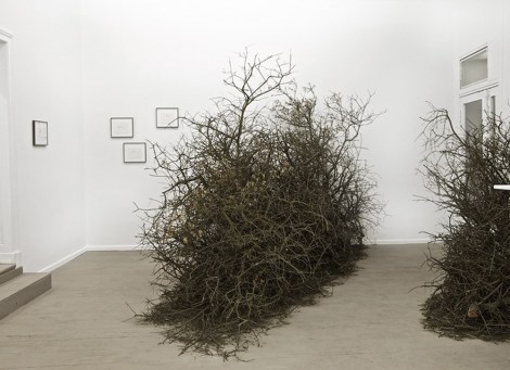 paula_doepfner_promessus1