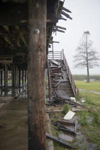 rockefeller-wildlife-refuge