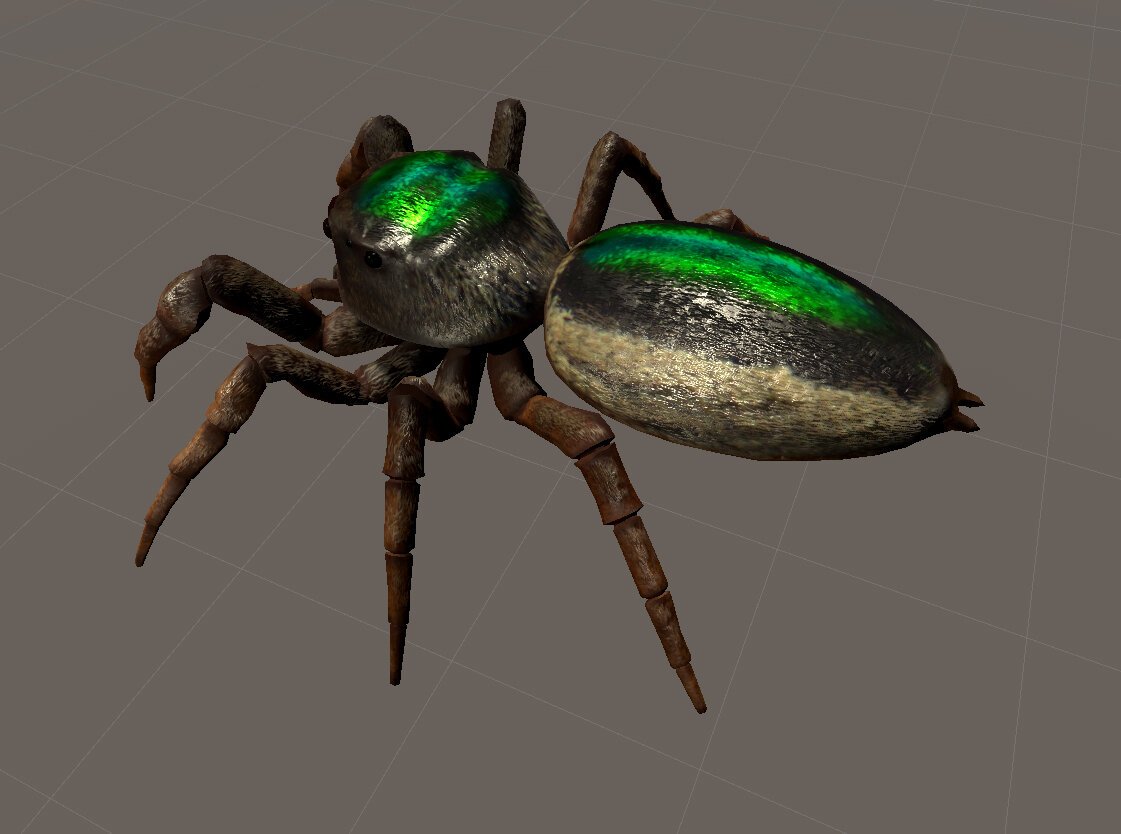 Tomás Saraceno Bagheera kiplingi (vegetarian spider), 2020&nbsp; Courtesy of the artist and Acute Art.